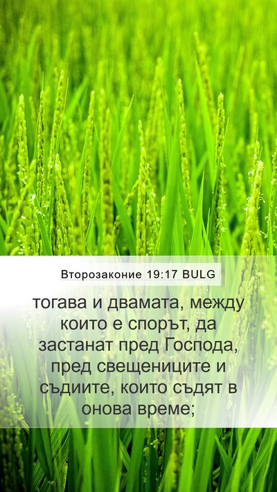 Второзаконие 19:17 BULG Bible Verse Image