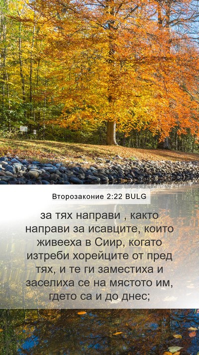 Второзаконие 2:22 BULG Bible Verse Image