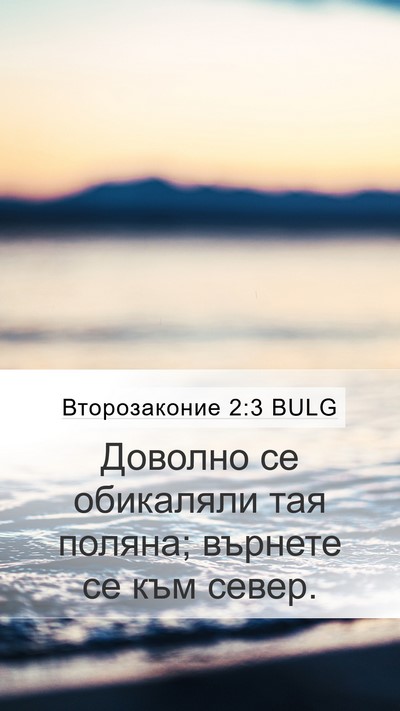 Второзаконие 2:3 BULG Mobile Phone Wallpaper - Доволно се обикаляли тая - Mobile Bible Verse Wallpaper