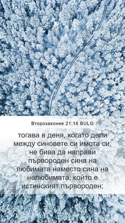 Второзаконие 21:16 BULG Bible Verse Image