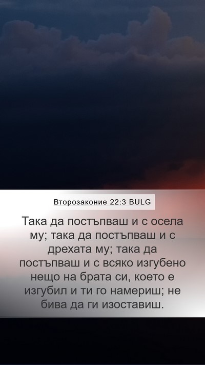 Второзаконие 22:3 BULG Bible Verse Image