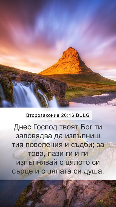 Второзаконие 26:16 BULG Bible Verse Image