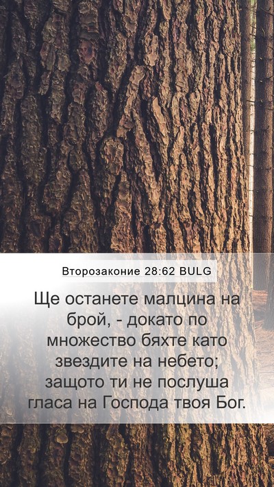 Второзаконие 28:62 BULG Bible Verse Image