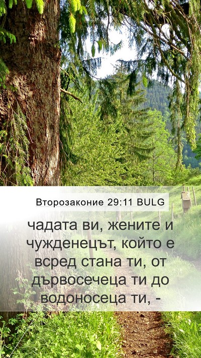 Второзаконие 29:11 BULG Bible Verse Image