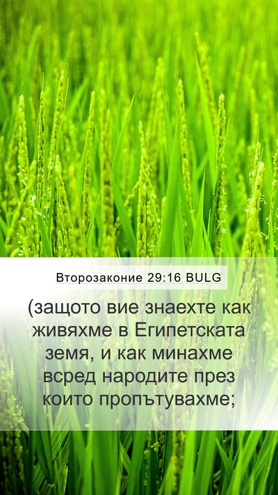 Второзаконие 29:16 BULG Mobile Phone Wallpaper - (защото вие знаехте как - Mobile Bible Verse Wallpaper