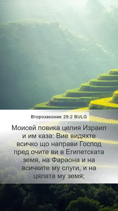 Второзаконие 29:2 BULG Bible Verse Image