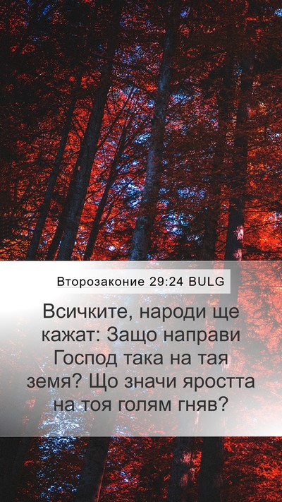 Второзаконие 29:24 BULG Bible Verse Image