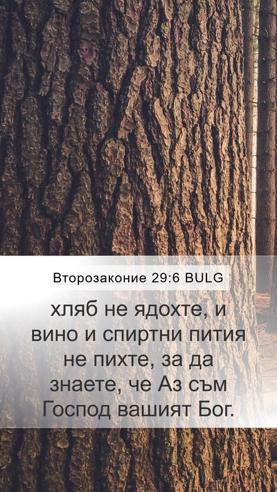 Второзаконие 29:6 BULG Bible Verse Image
