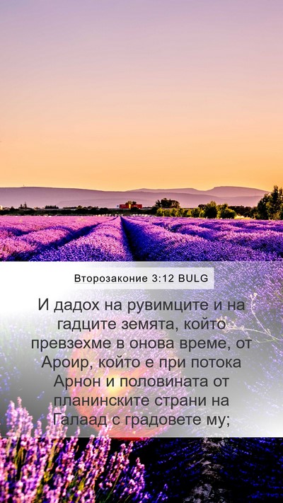 Второзаконие 3:12 BULG Bible Verse Image