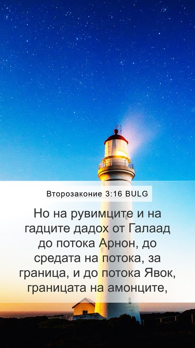 Второзаконие 3:16 BULG Bible Verse Image