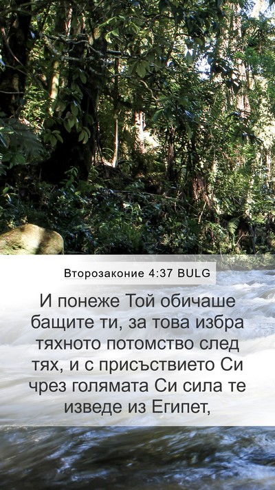 Второзаконие 4:37 BULG Bible Verse Image