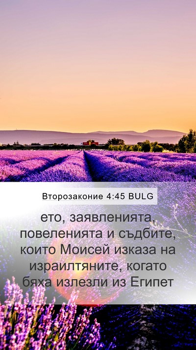 Второзаконие 4:45 BULG Bible Verse Image