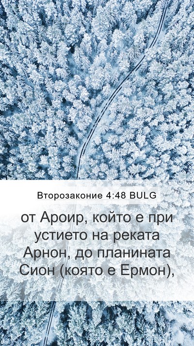Второзаконие 4:48 BULG Bible Verse Image