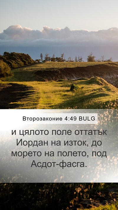 Второзаконие 4:49 BULG Bible Verse Image