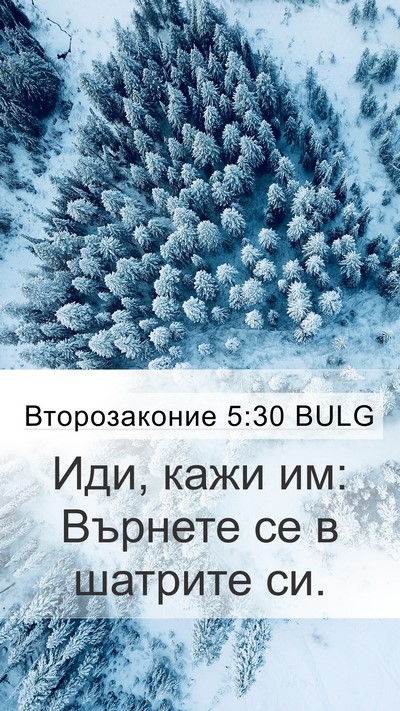 Второзаконие 5:30 BULG Mobile Phone Wallpaper - Иди, кажи им: Върнете се в - Mobile Bible Verse Wallpaper