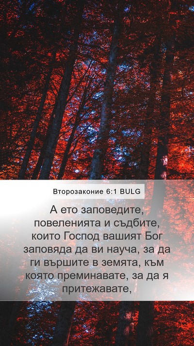 Второзаконие 6:1 BULG Bible Verse Image
