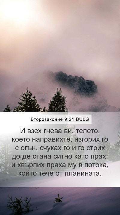 Второзаконие 9:21 BULG Bible Verse Image