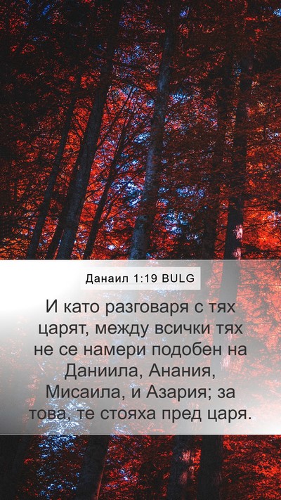 Данаил 1:19 BULG Mobile Phone Wallpaper - И като разговаря с тях - Mobile Bible Verse Wallpaper