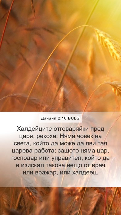 Данаил 2:10 BULG Bible Verse Image