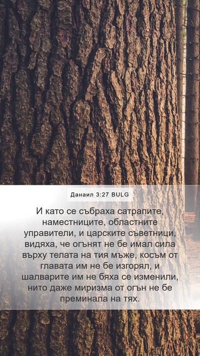 Данаил 3:27 BULG Bible Verse Image