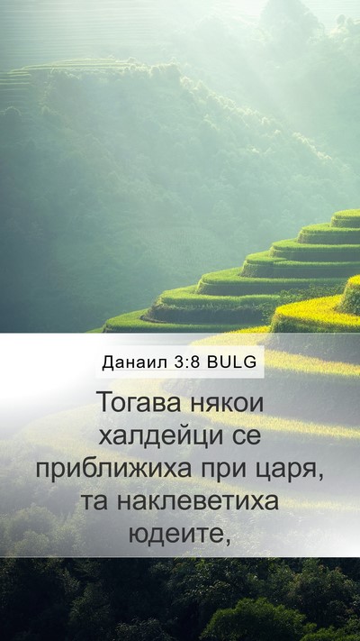 Данаил 3:8 BULG Bible Verse Image