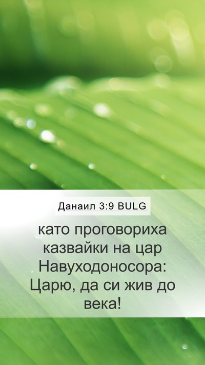 Данаил 3:9 BULG Bible Verse Image