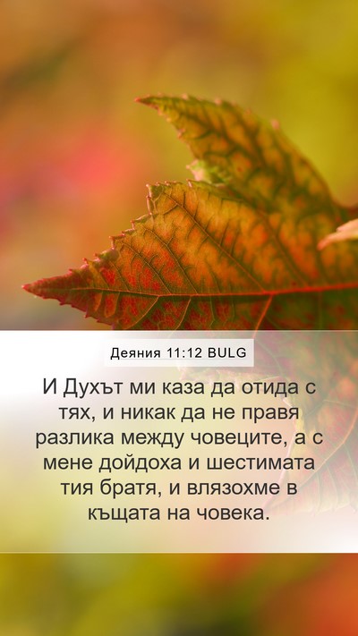 Деяния 11:12 BULG Bible Verse Image