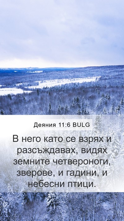 Деяния 11:6 BULG Bible Verse Image