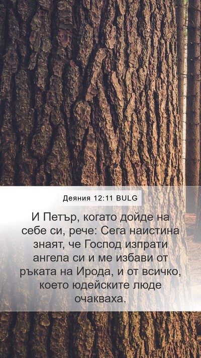 Деяния 12:11 BULG Bible Verse Image