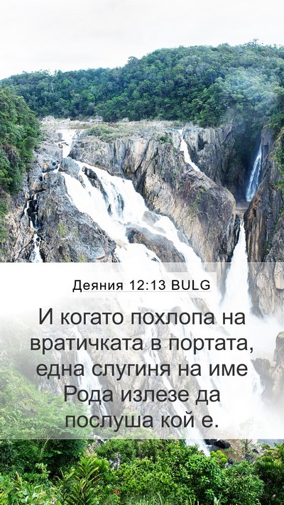 Деяния 12:13 BULG Bible Verse Image