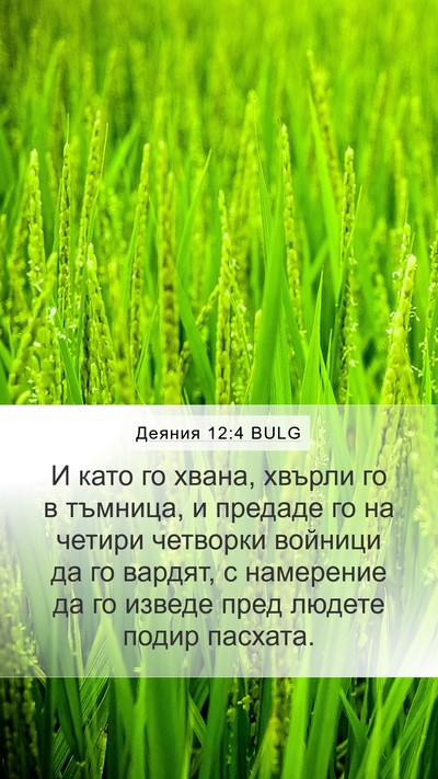 Деяния 12:4 BULG Bible Verse Image