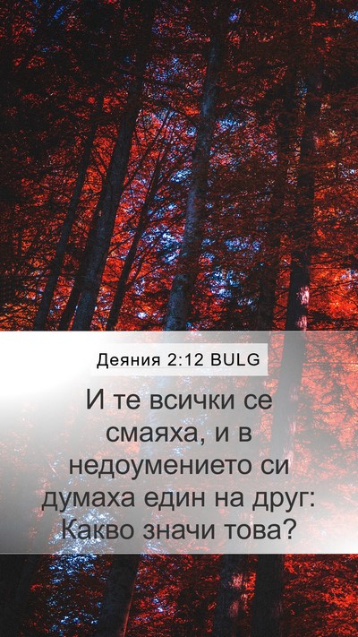 Деяния 2:12 BULG Bible Verse Image