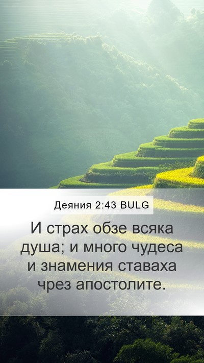 Деяния 2:43 BULG Bible Verse Image