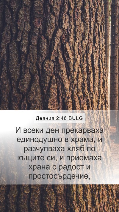 Деяния 2:46 BULG Bible Verse Image