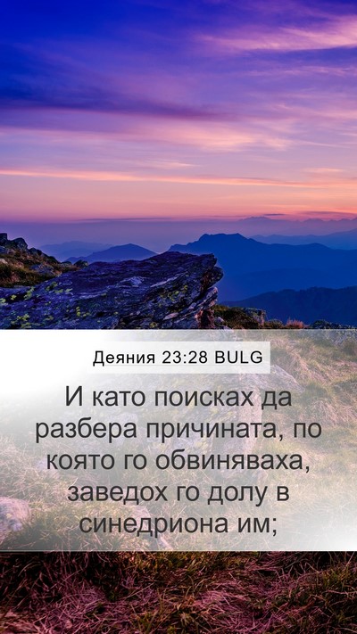 Деяния 23:28 BULG Mobile Phone Wallpaper - И като поисках да разбера - Mobile Bible Verse Wallpaper