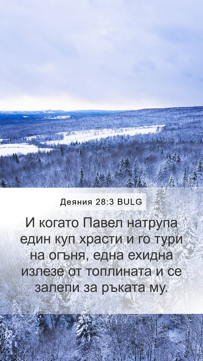 Деяния 28:3 BULG Bible Verse Image