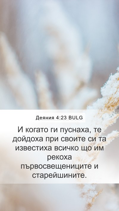 Деяния 4:23 BULG Bible Verse Image