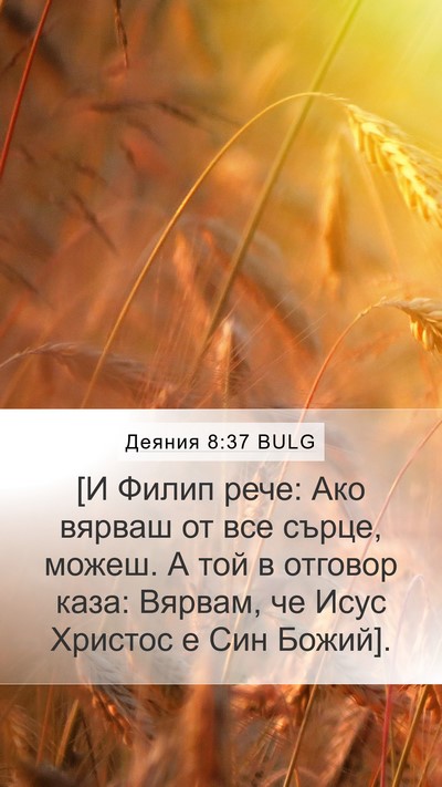 Деяния 8:37 BULG Mobile Phone Wallpaper - [И Филип рече: Ако вярваш от - Mobile Bible Verse Wallpaper
