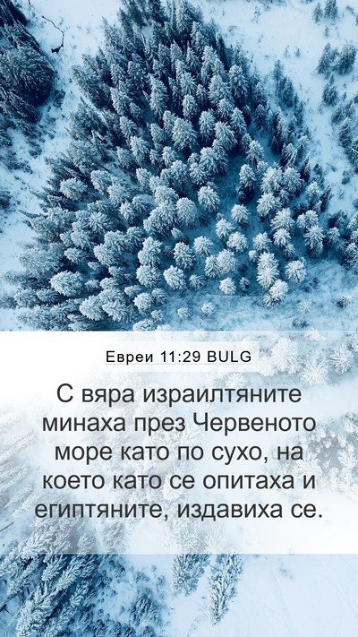 Евреи 11:29 BULG Bible Verse Image
