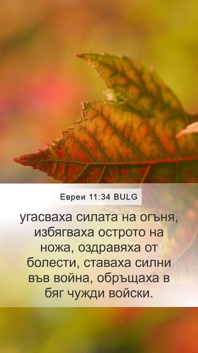 Евреи 11:34 BULG Bible Verse Image