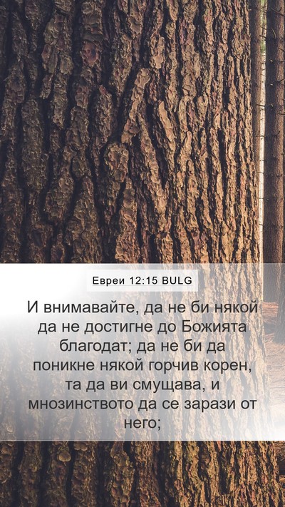 Евреи 12:15 BULG Bible Verse Image
