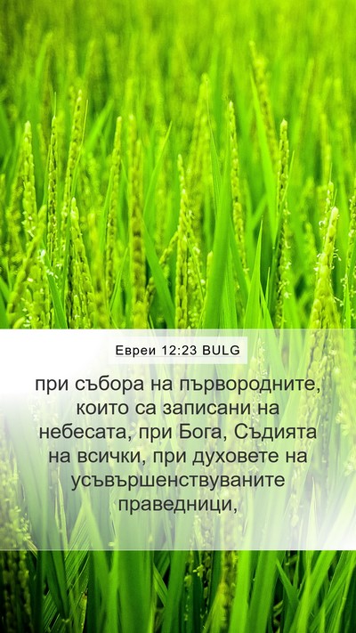Евреи 12:23 BULG Bible Verse Image