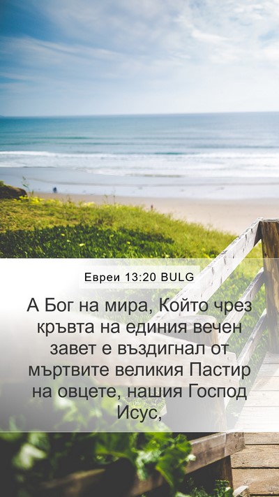 Евреи 13:20 BULG Bible Verse Image