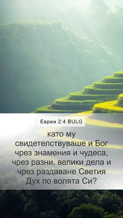 Евреи 2:4 BULG Bible Verse Image