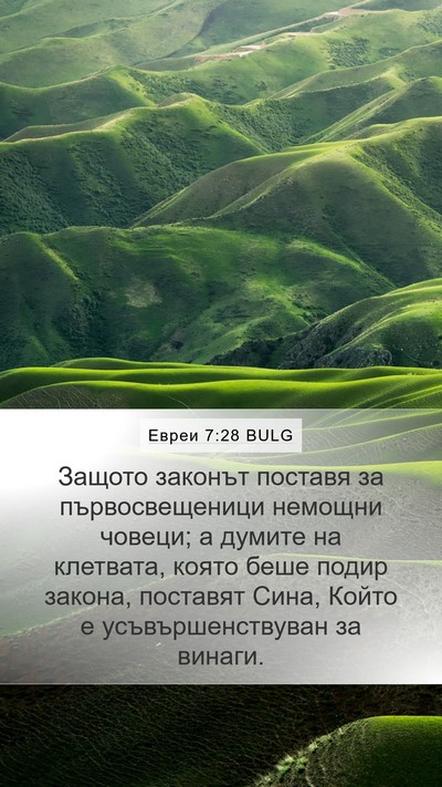 Евреи 7:28 BULG Bible Verse Image