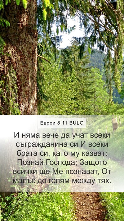 Евреи 8:11 BULG Bible Verse Image