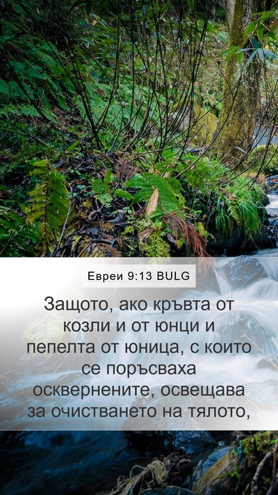 Евреи 9:13 BULG Bible Verse Image
