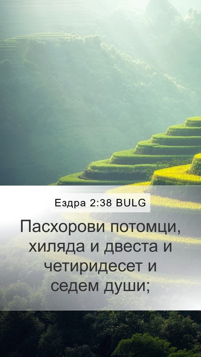 Ездра 2:38 BULG Bible Verse Image
