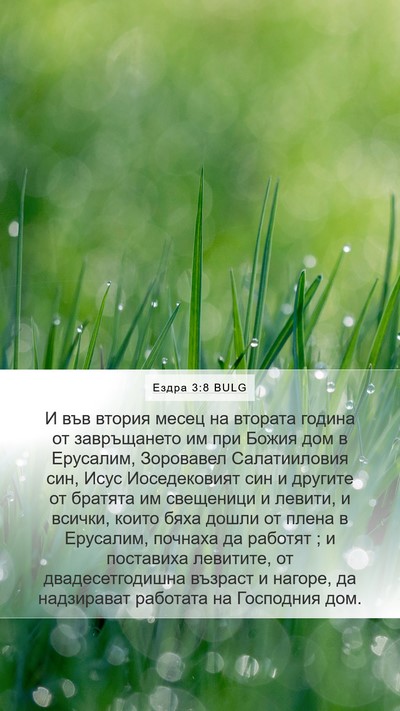 Ездра 3:8 BULG Bible Verse Image