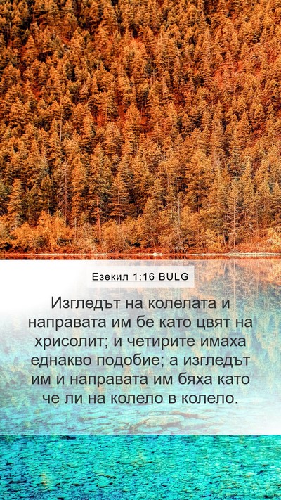 Езекил 1:16 BULG Bible Verse Image